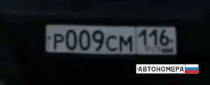 Р009СМ116