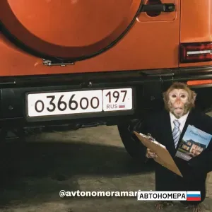 О366ОО197