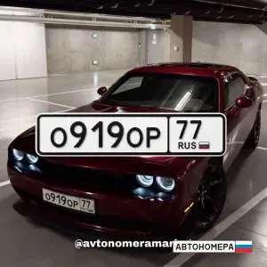 О919ОР77