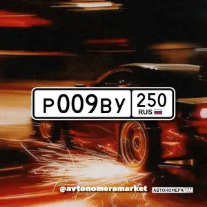 Р009ВУ250