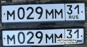 М029ММ31