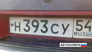 Н393СУ54