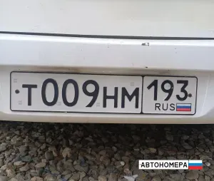 Т009НМ193