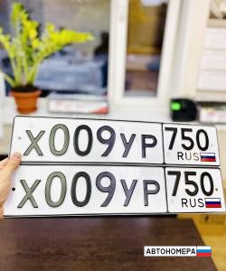 Х009УР750